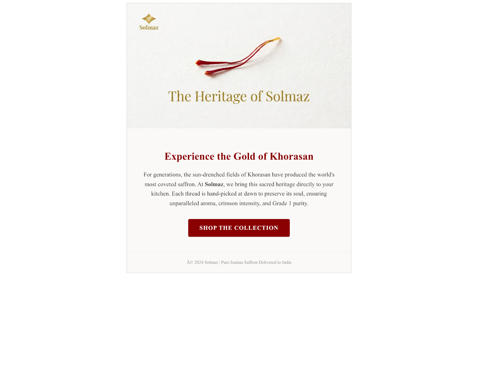 Solmaz heritage email campaign preview